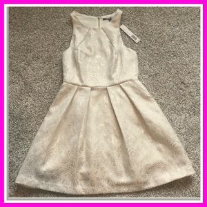 NWT! Gianni Bini fit - flare cream and gold sz S